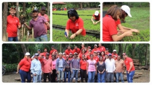 Empleados participan plan reforestación Quisqueya Verde del Ministerio de Medio Ambiente